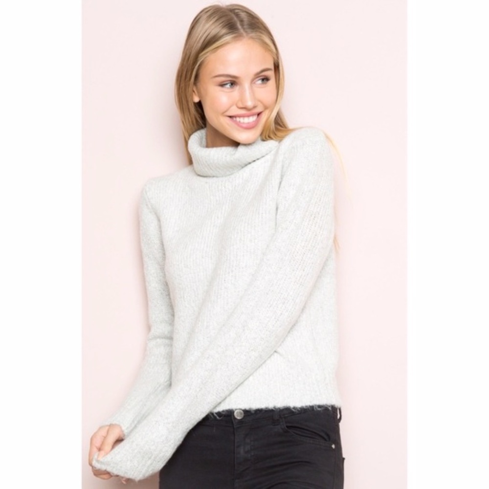Brandy Melville Cropped Ribbed Knit Turtleneck